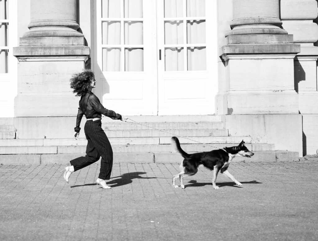 Hond van opzij – fine art zwart-wit hondenfotografie door Greycard fotostudio Tervuren