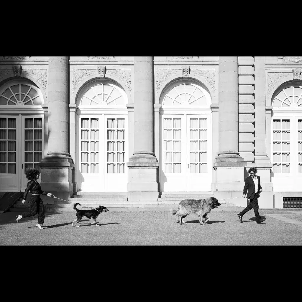 Hond in rust – fine art zwart-wit hondenfotografie door Greycard Tervuren
