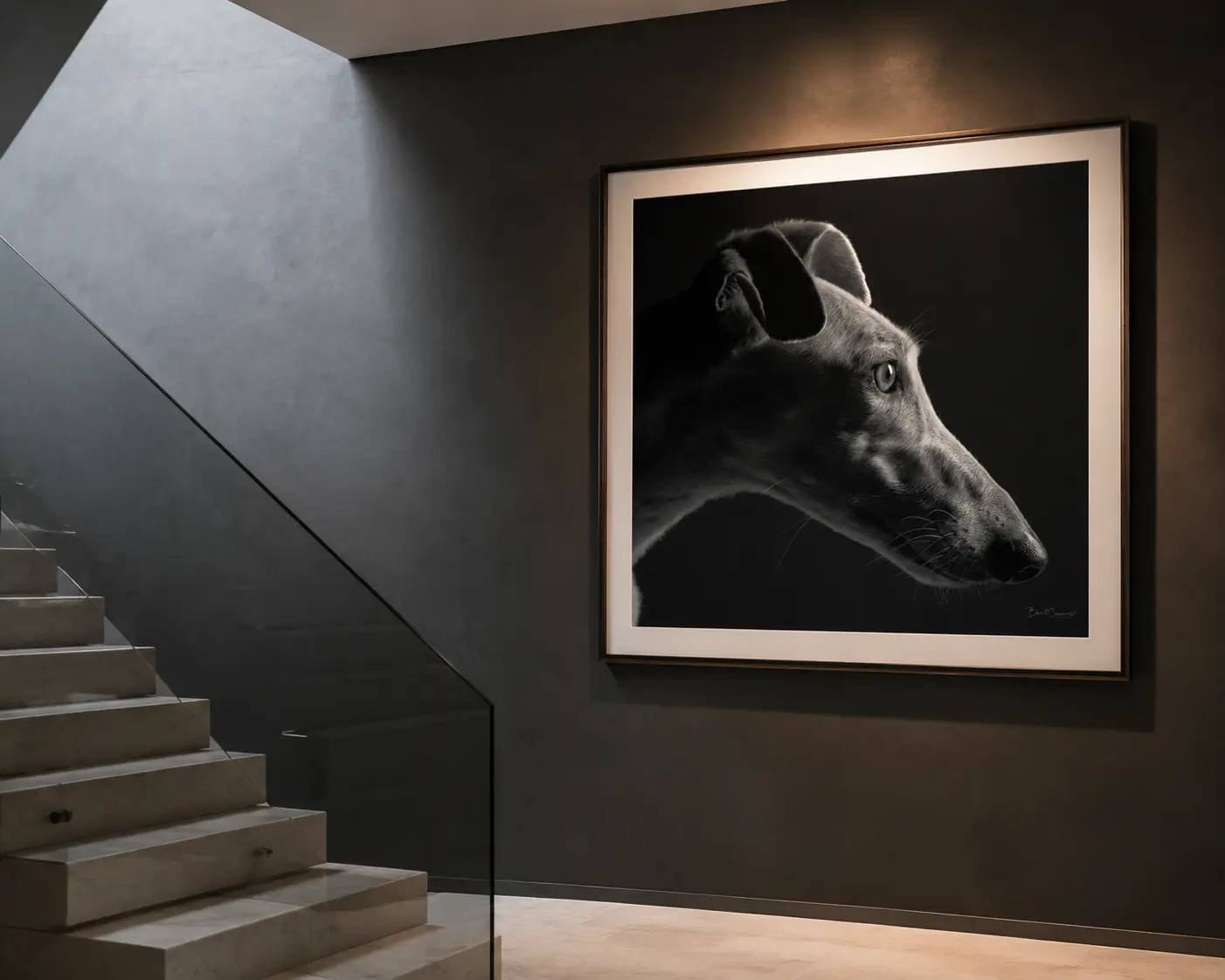 Ingelijst zwart-witprofielportret van een galgo in een architecturaal interieur